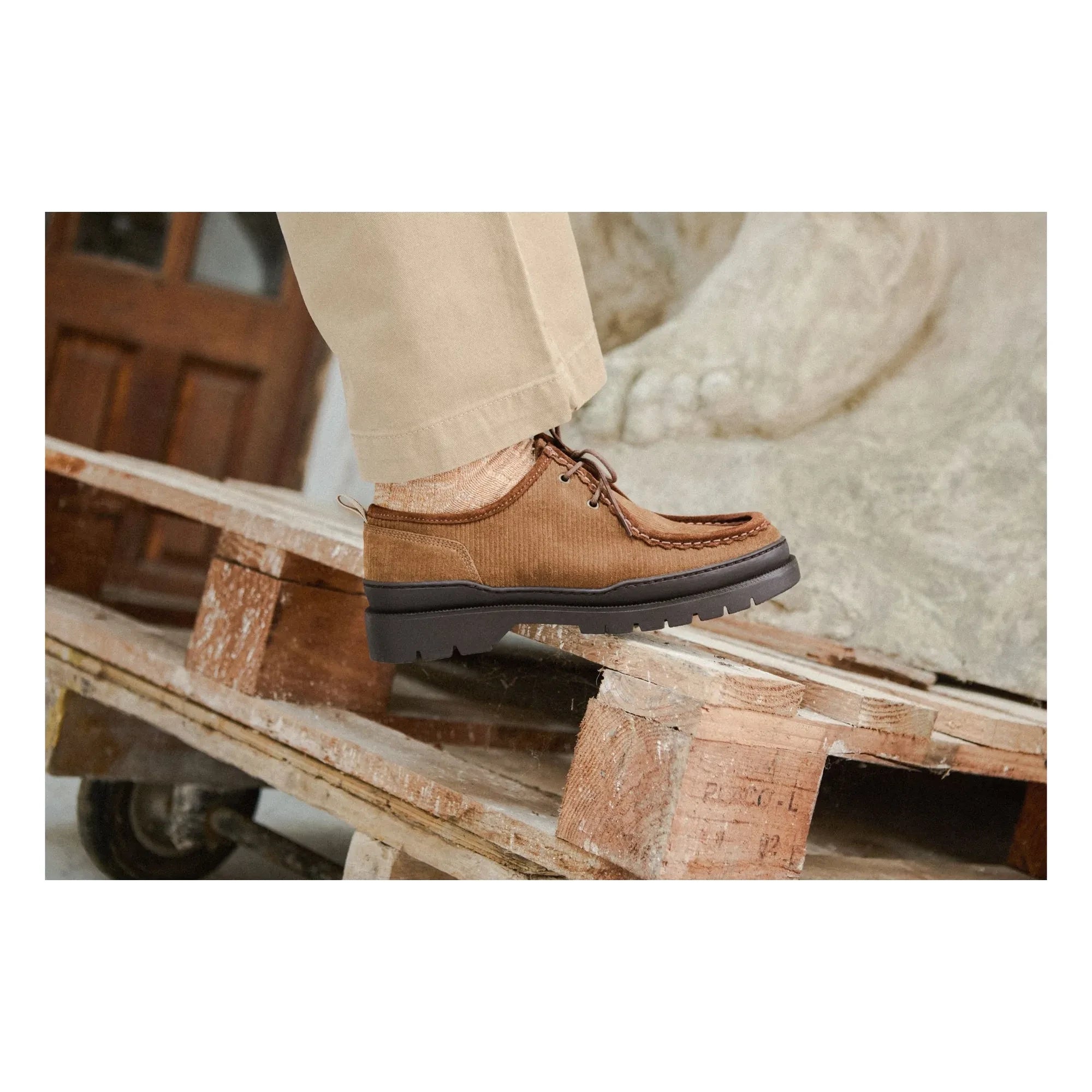 Kleman - Derbies Major VP OAK 2 Velours | Kahverengi