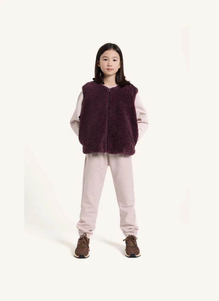 Smallable Kid - Jude Sleeveless Sherpa Jacket | Purple