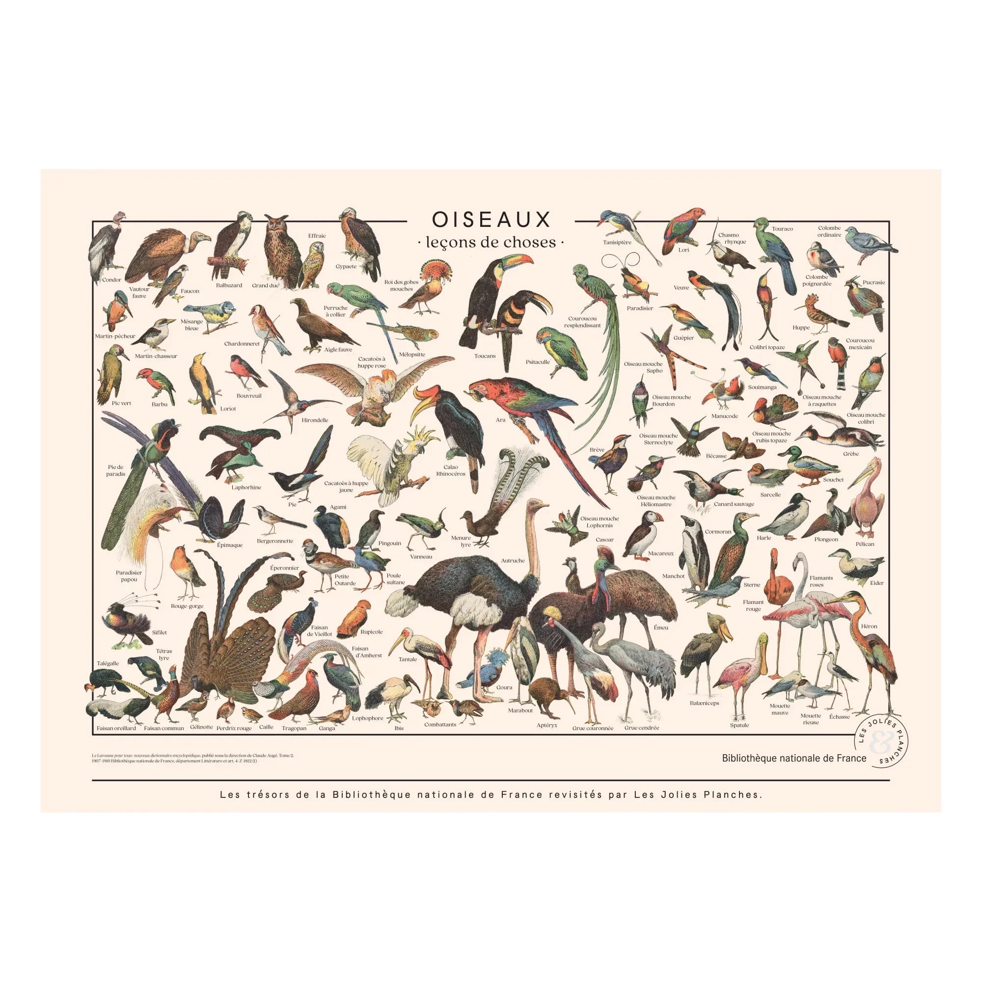 Les Jolies Planches - Vogelbretter