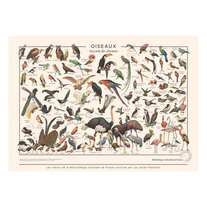 Les Jolies Planches - Vogelbretter