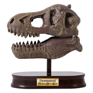 Buki - Arkeoloji seti - Müze Dino Kafatası