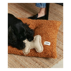 Cafide - Knochen-Hundespielzeug | Gebrochenes Weiß