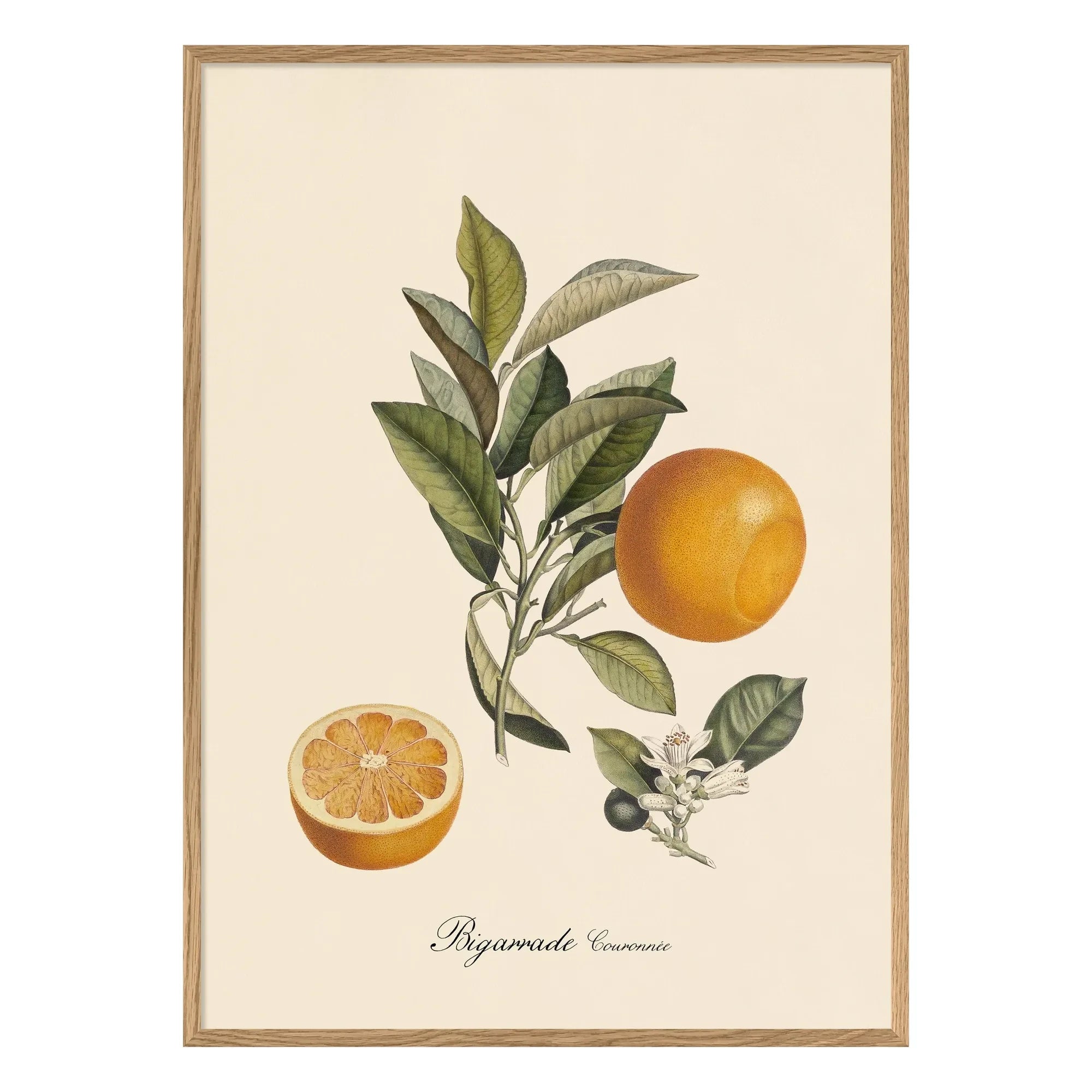 The Dybdahl Co. - Bigarrade mit Krone Poster