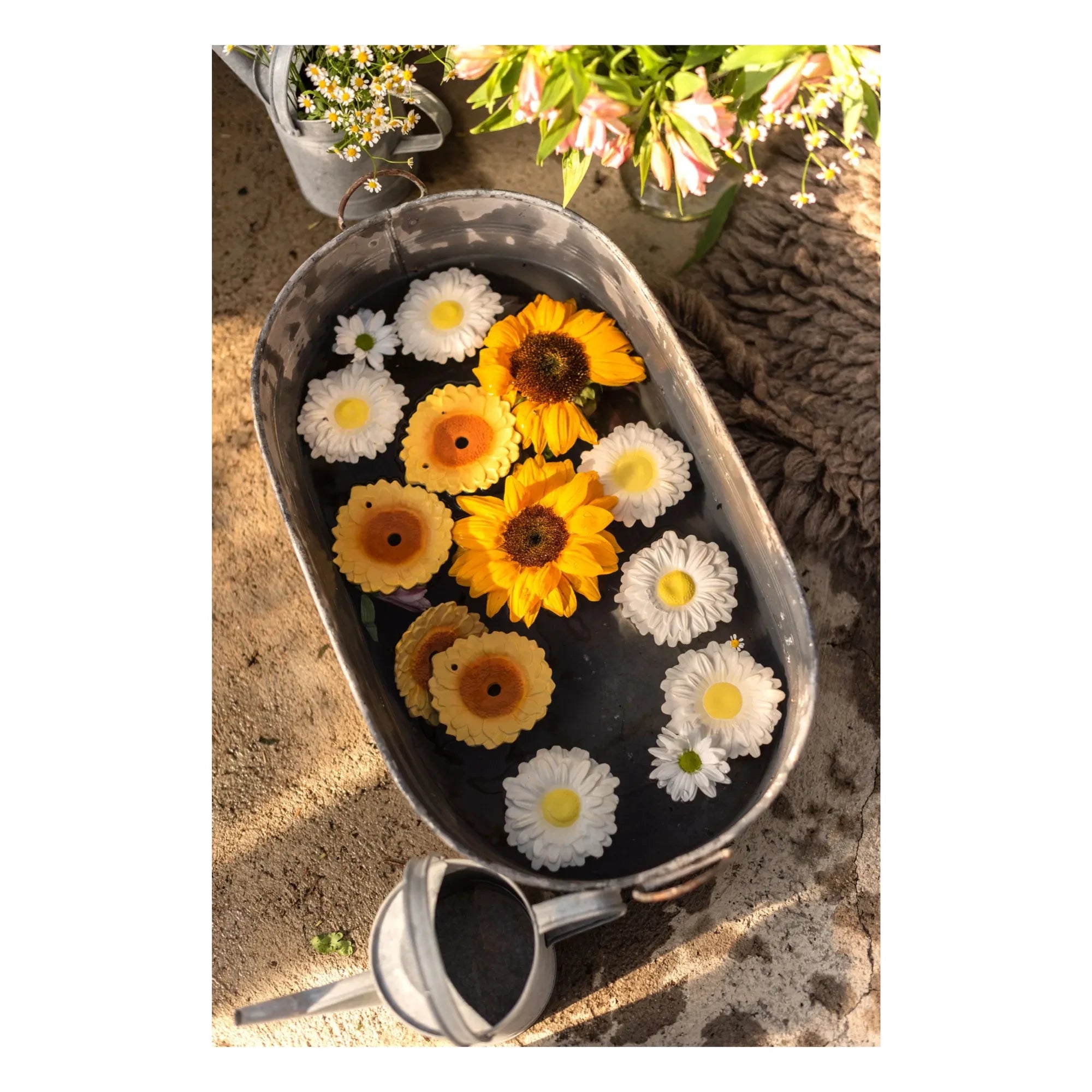 Oli & Carol - Sun the sunflower Beißring