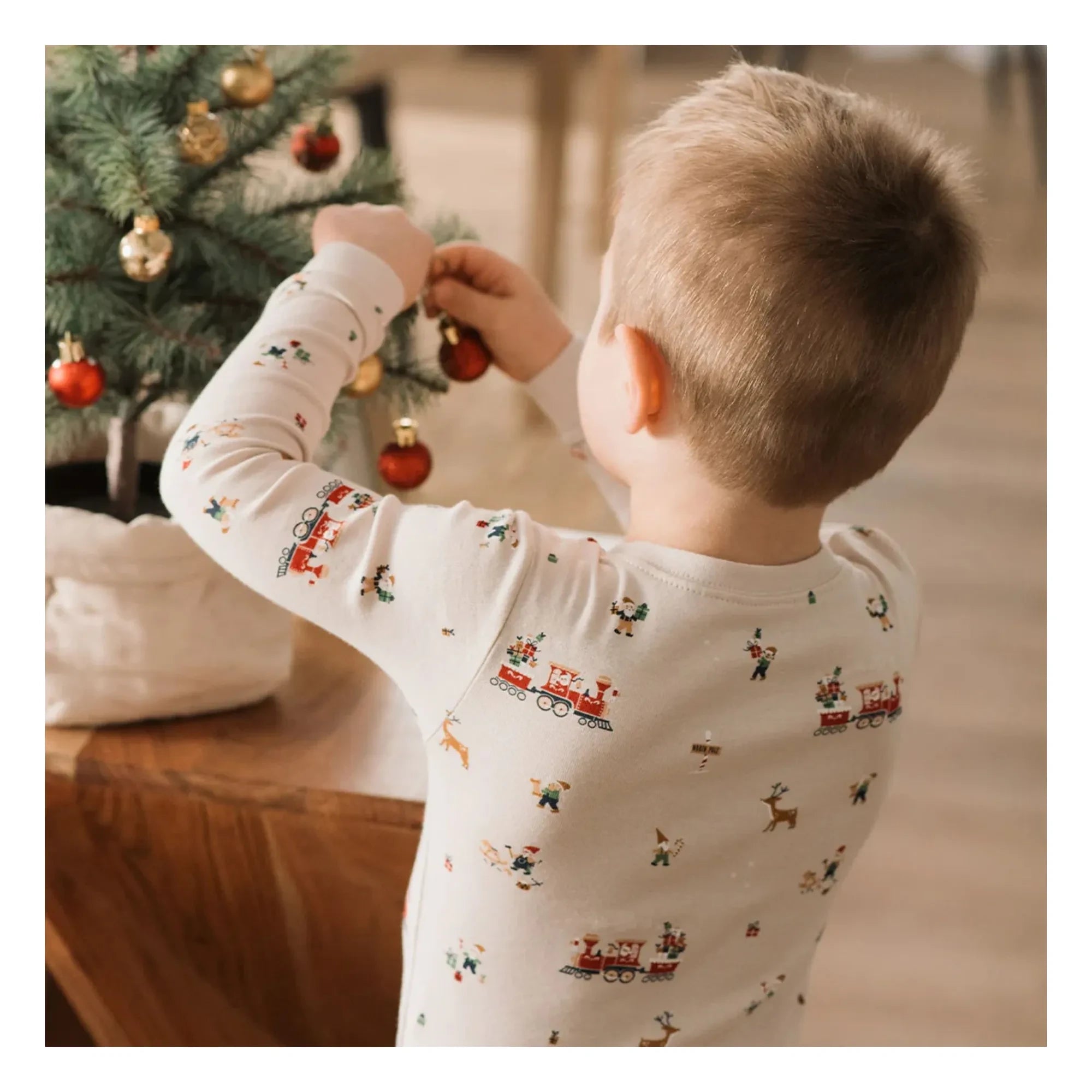 Petit Lem - Noel Pijamaları Organik Pamuk | Bej