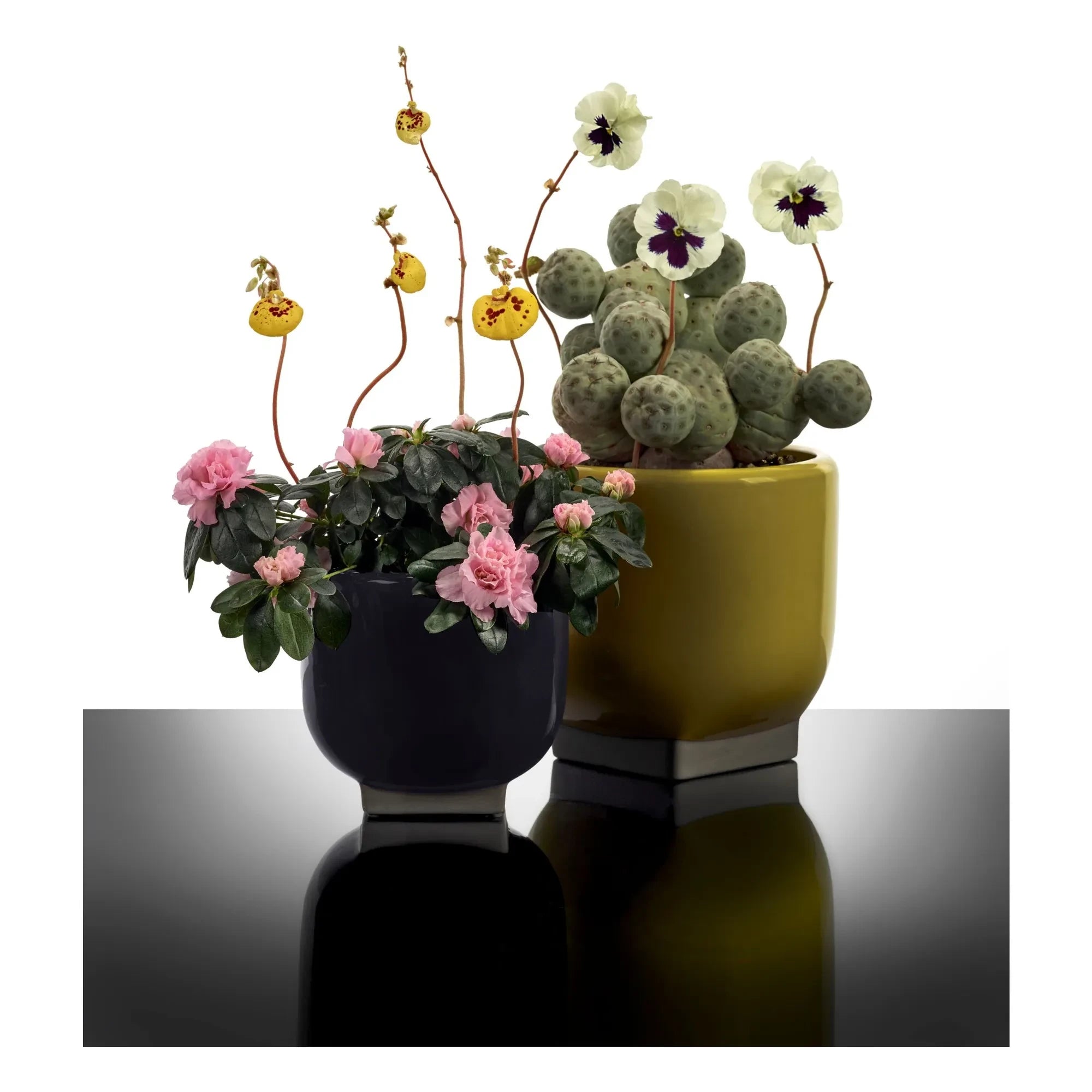 Serax - Cache-pot 01, Kris van assche | Mor