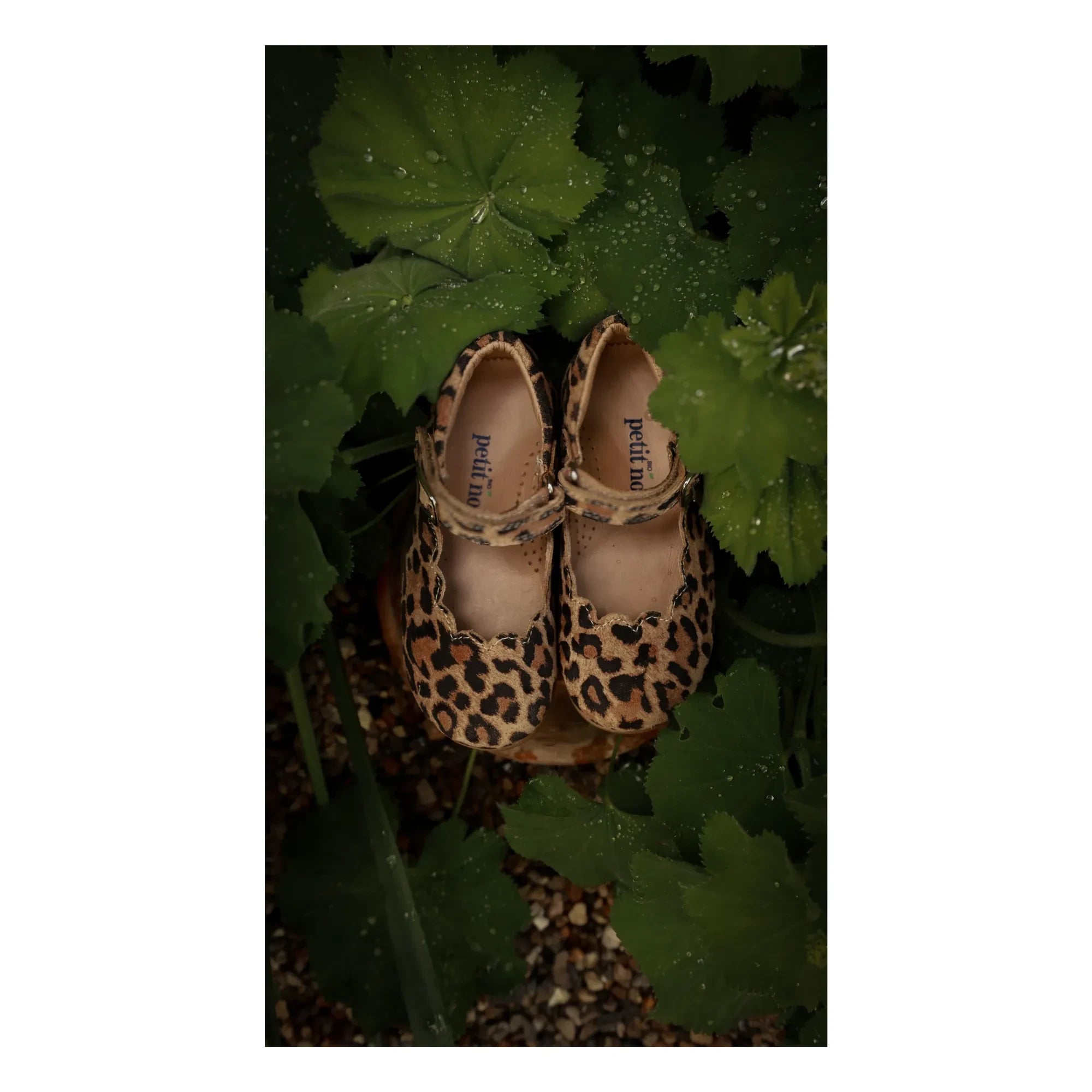 Petit Nord - Scallop Mary Jane Leopar | Kahverengi