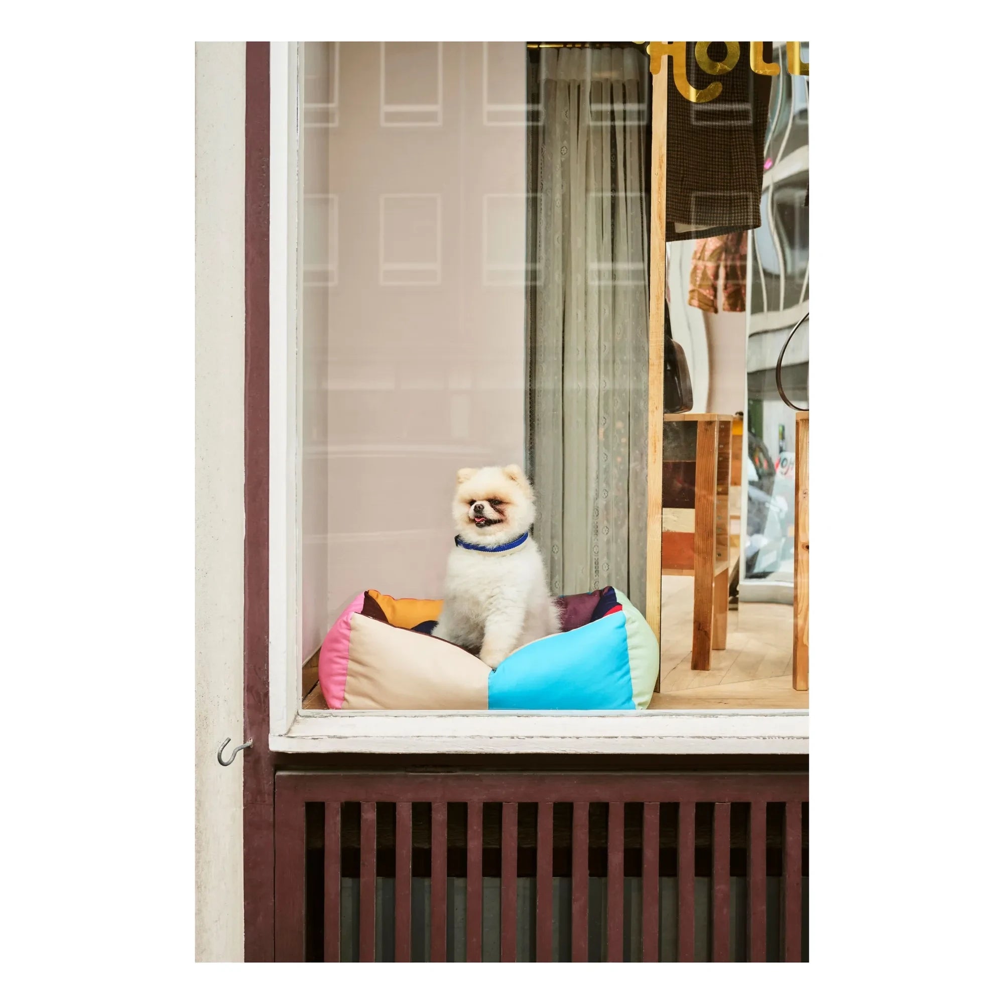 Hay - Köpek yatağı
