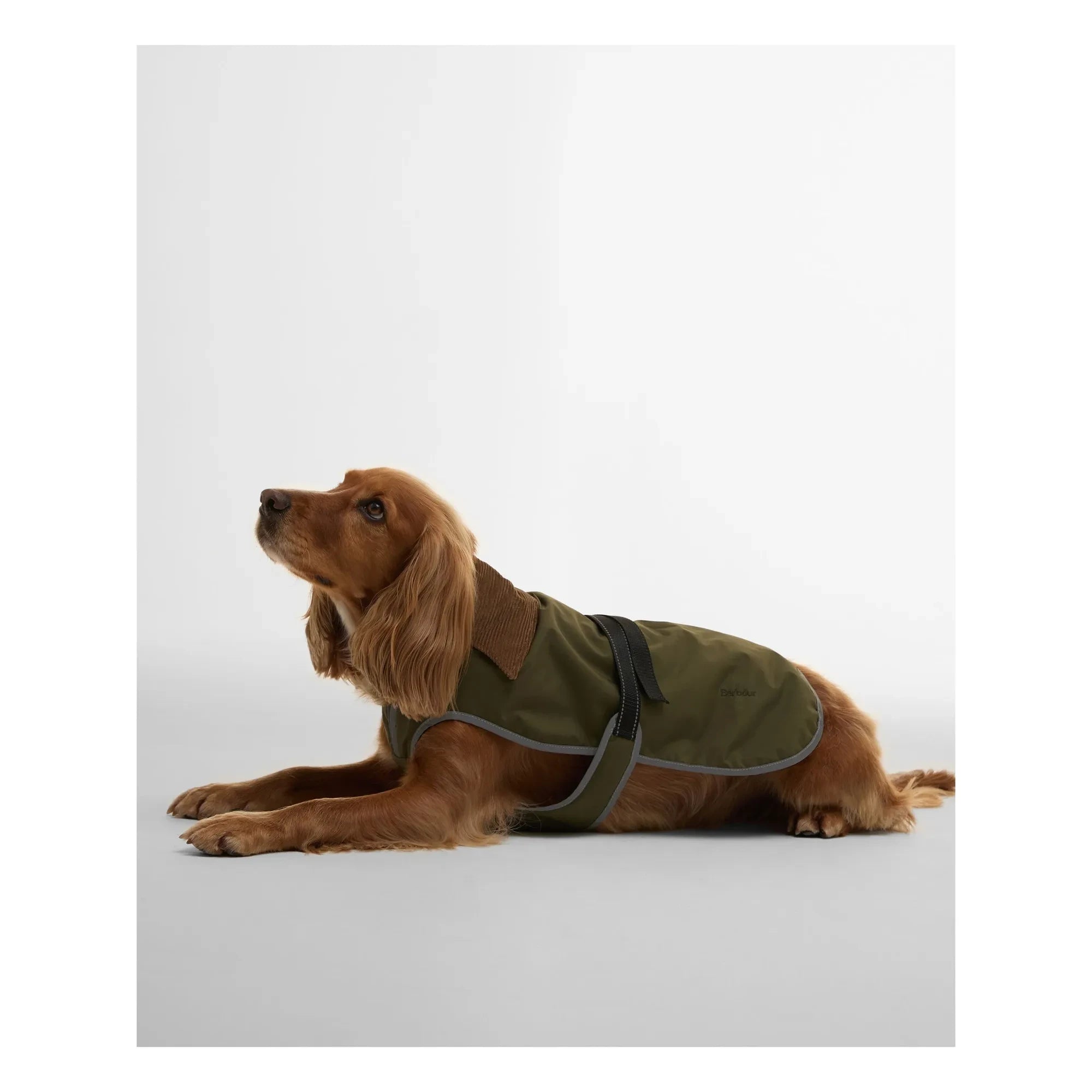 Barbour - Monmouth wasserdichter Hundemantel | Olive