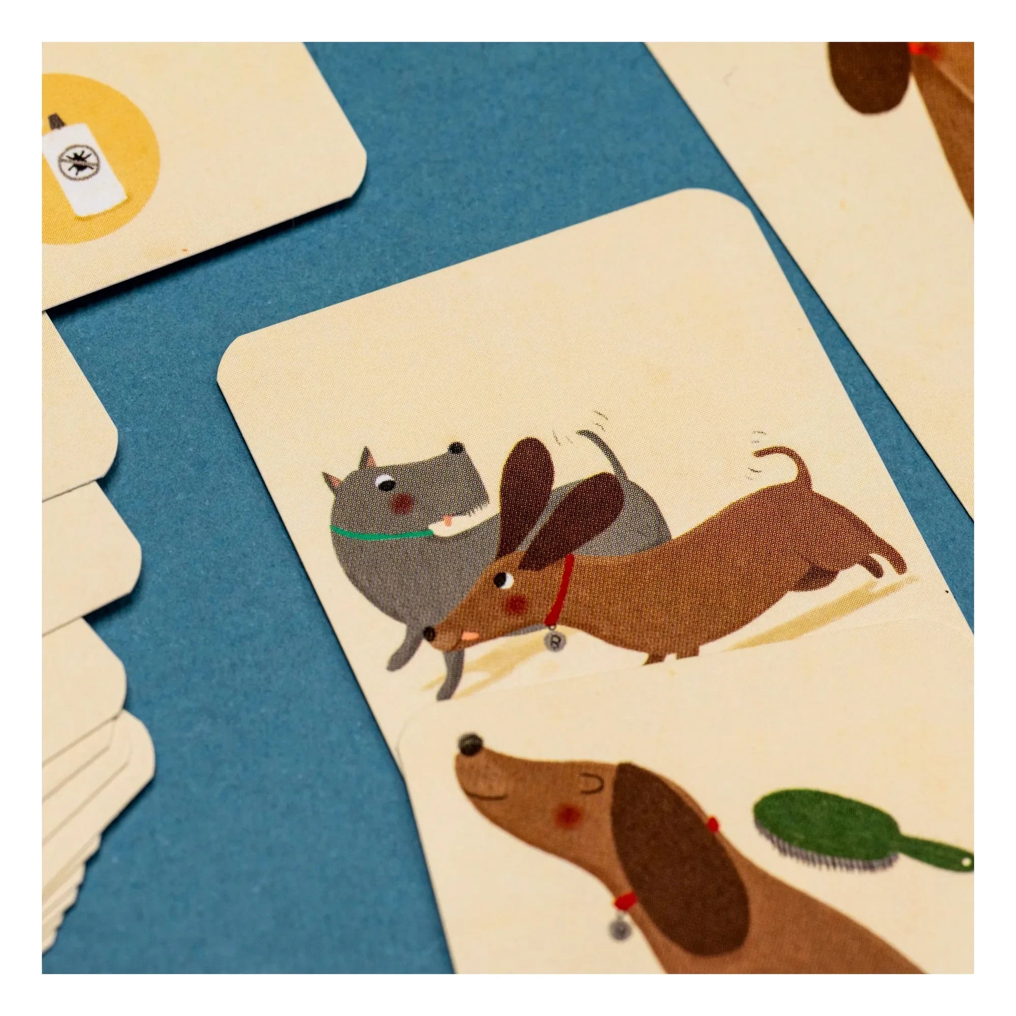 Londji - Bobby&Misha hafıza oyunu