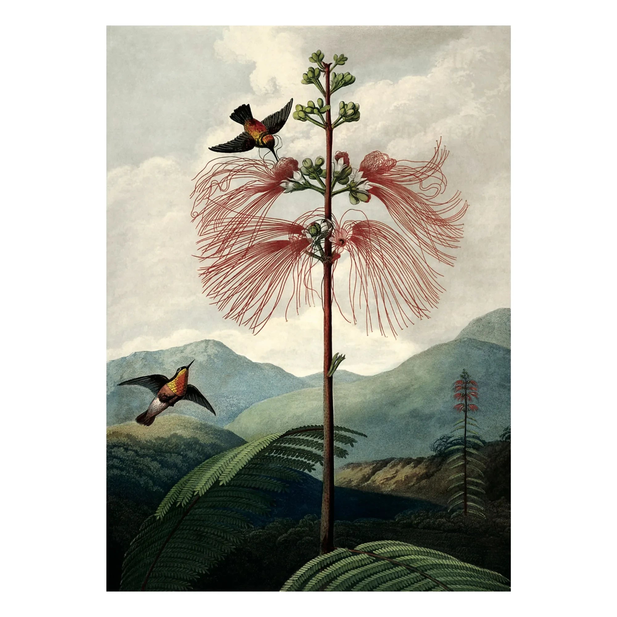 The Dybdahl Co. - Çiçekler Ağacı posteri