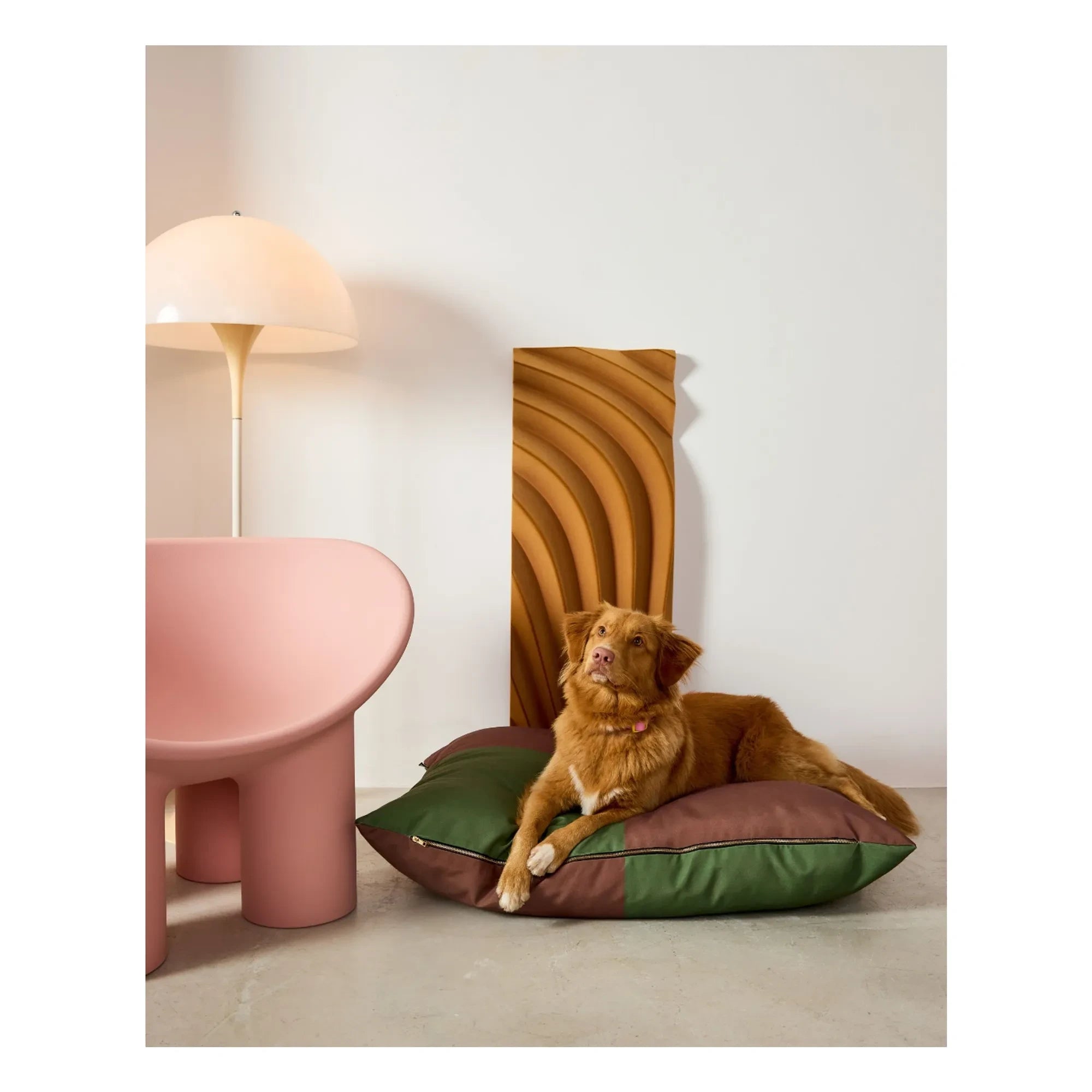 Approved by Fritz - Quartier köpek yatağı | Kahverengi
