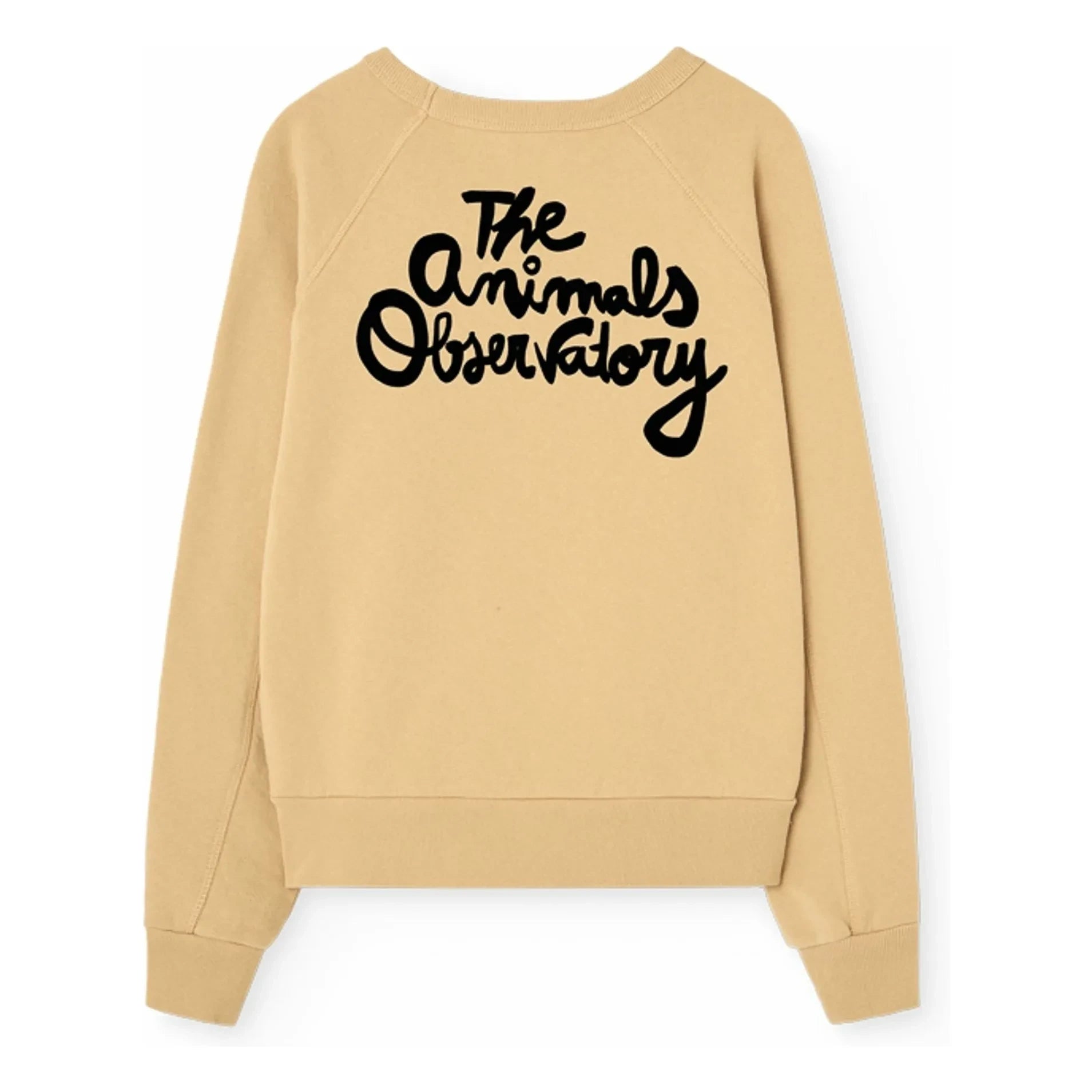 The Animals Observatory - Shark-Sweatshirt | Beige