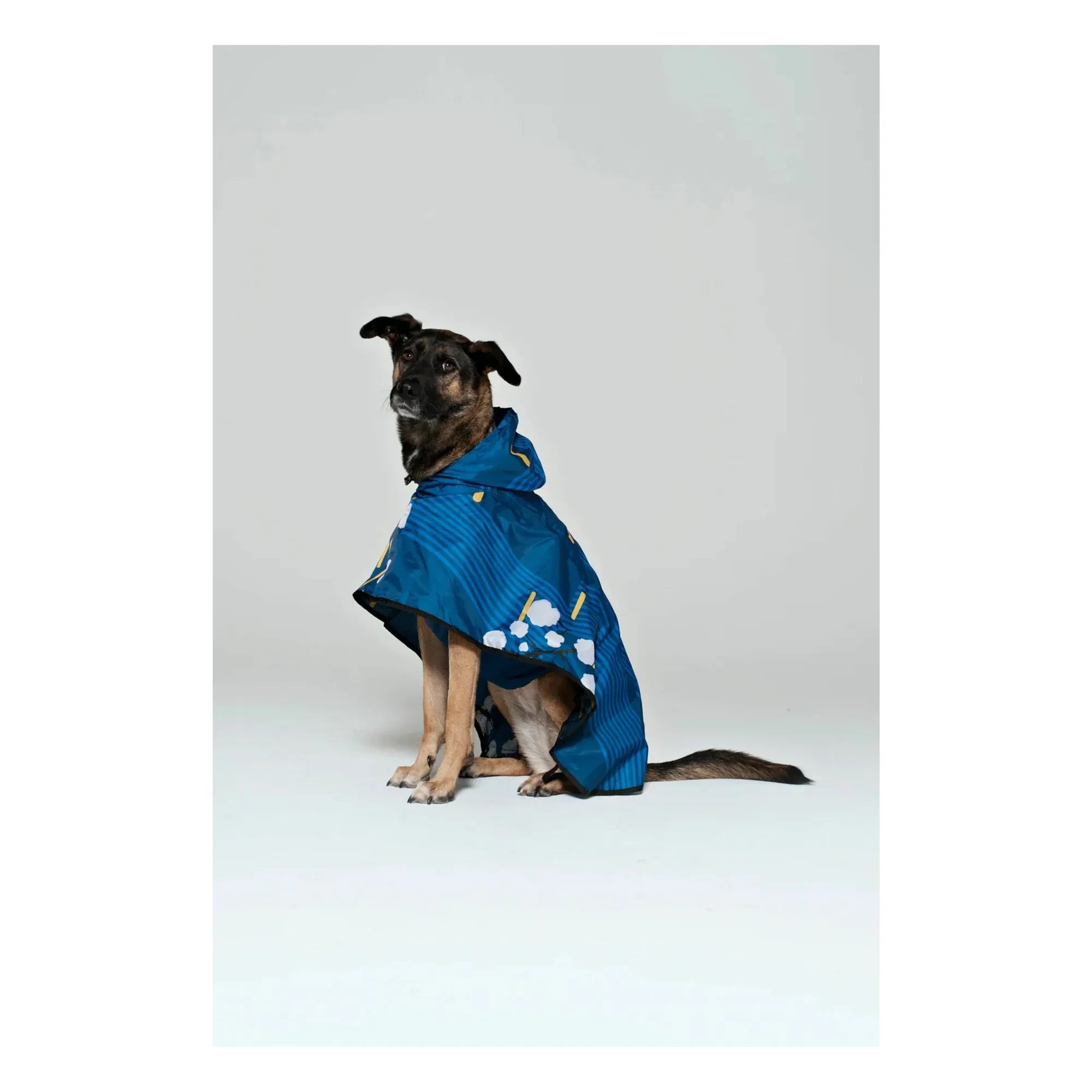 Rainkiss - Japanese Blossom Waterproof Dog Raincoat | Blue