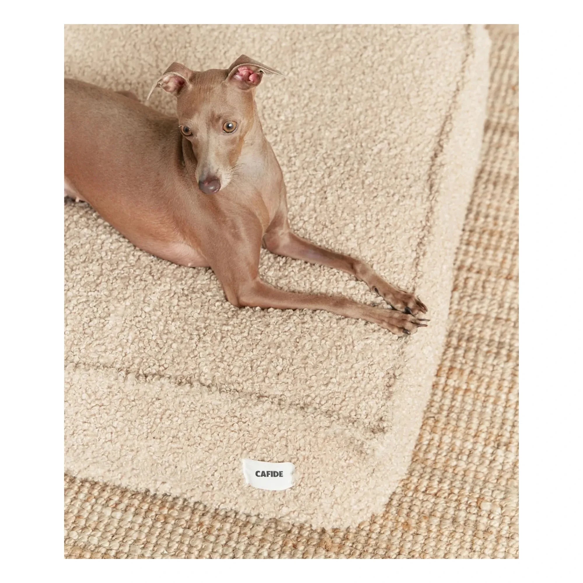 Cafide - Cuadra Karabuğday Köpek Yatağı | Bej