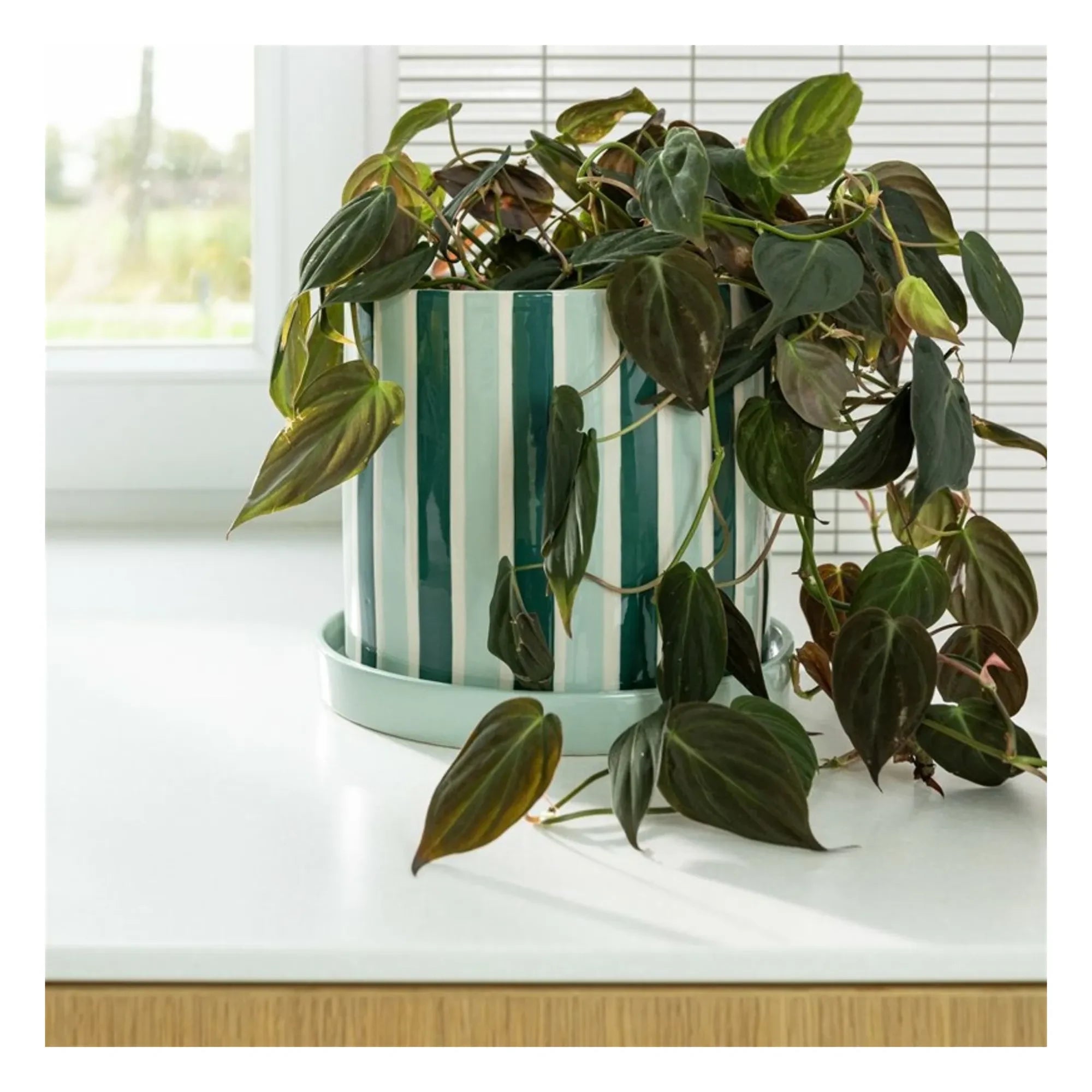 &Klevering - Clash Stripe Plant Pot | Green