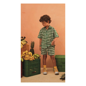 Fabula - Damier Gömlek | Yeşil