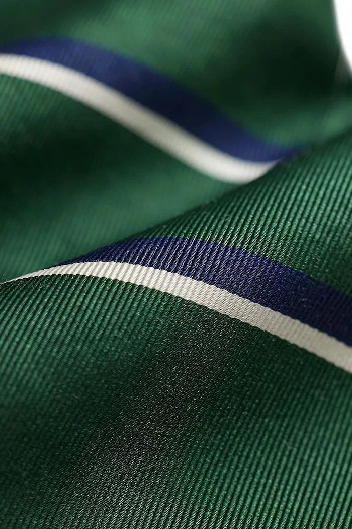 Polo Ralph Lauren Erkek İpek Kravat
