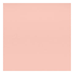 Vitra - DAW sandalye - akçaağaç taban - Charles & Ray Eames | Yumuşak pembe