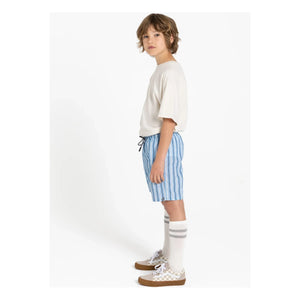 Finger in the nose - Freeboy Striped Swim Shorts | Blue