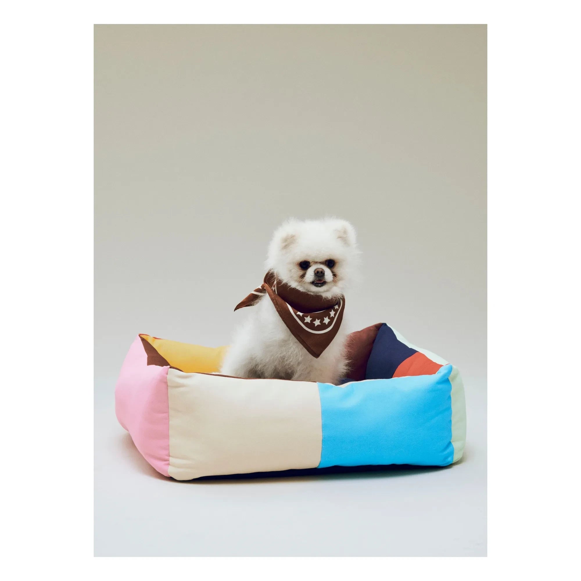 Heu - Hundehalstuch | Braun