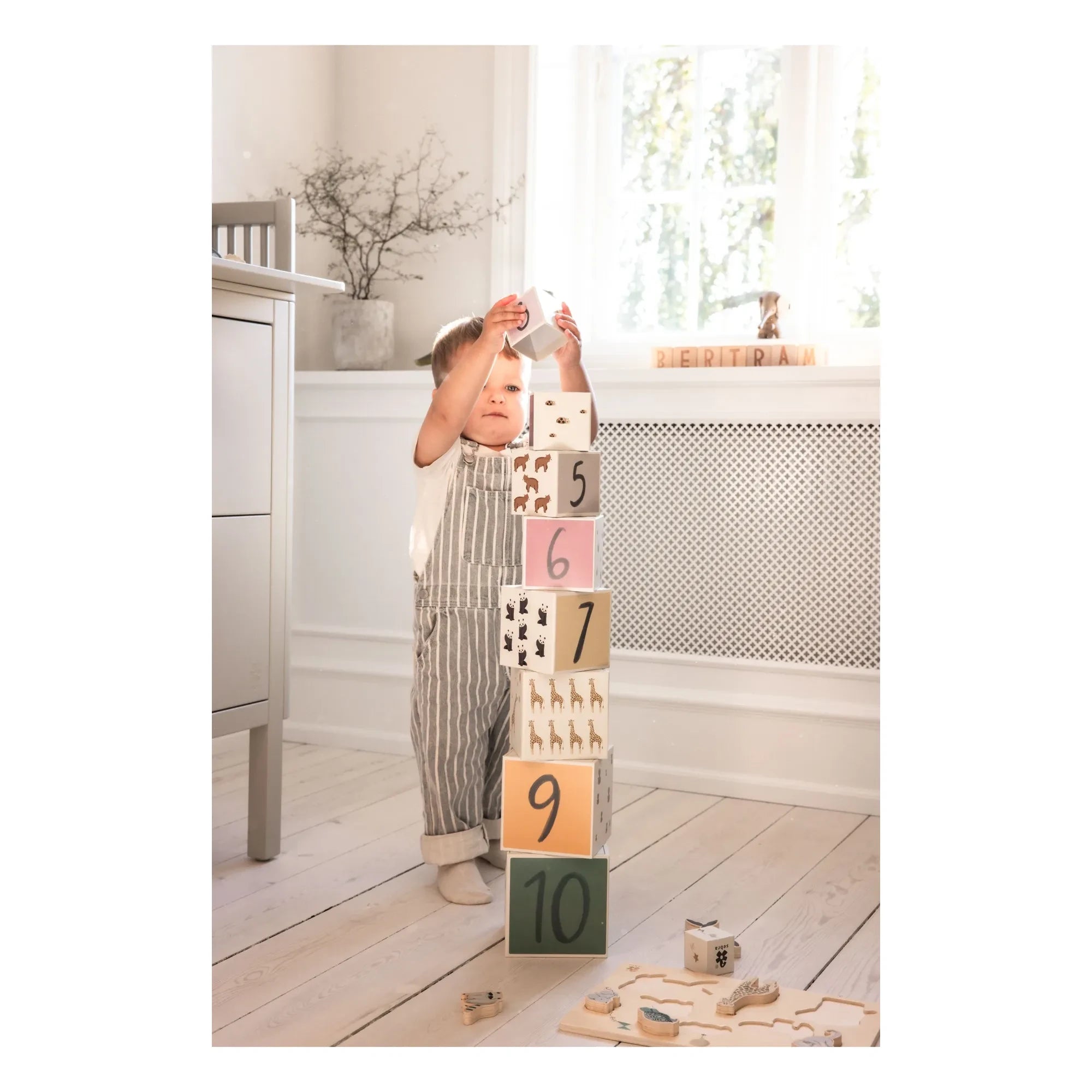 Sebra - Sebra World stacking blocks