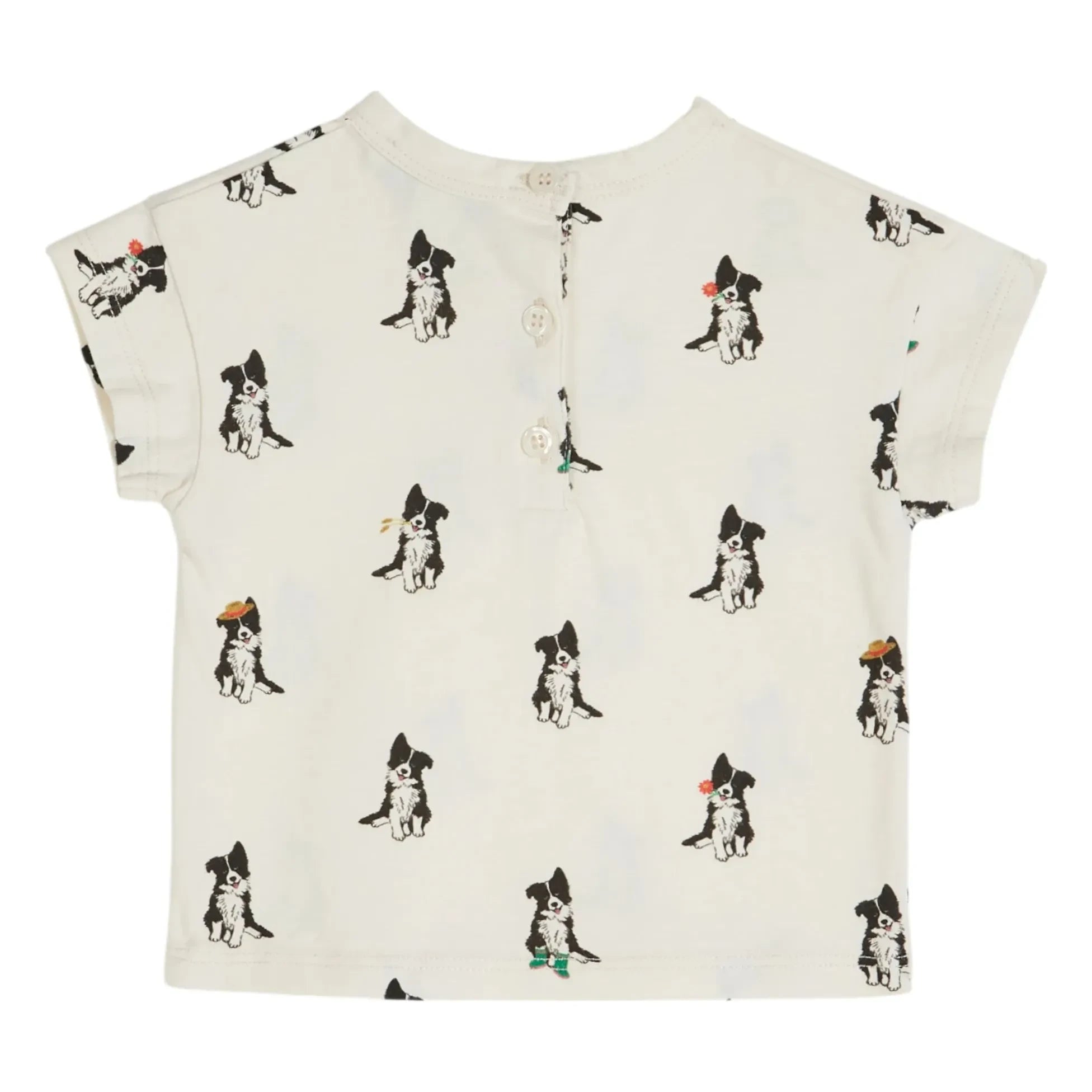 Emile et Ida - Border Collie organik pamuklu T-shirt | Krem