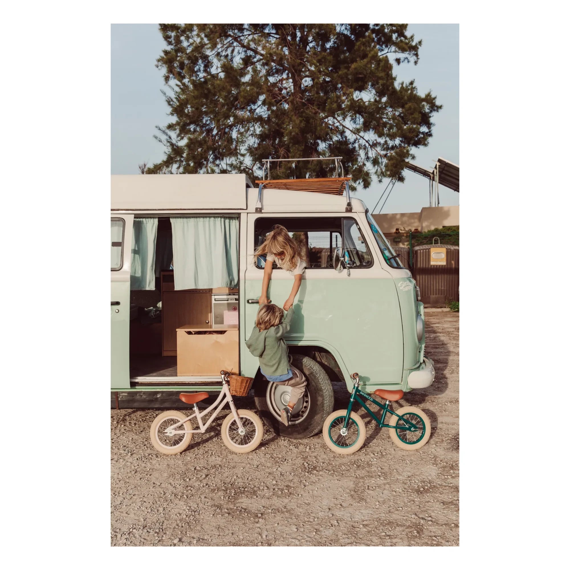 Banwood - Go First Push Bike 12" | Rosa