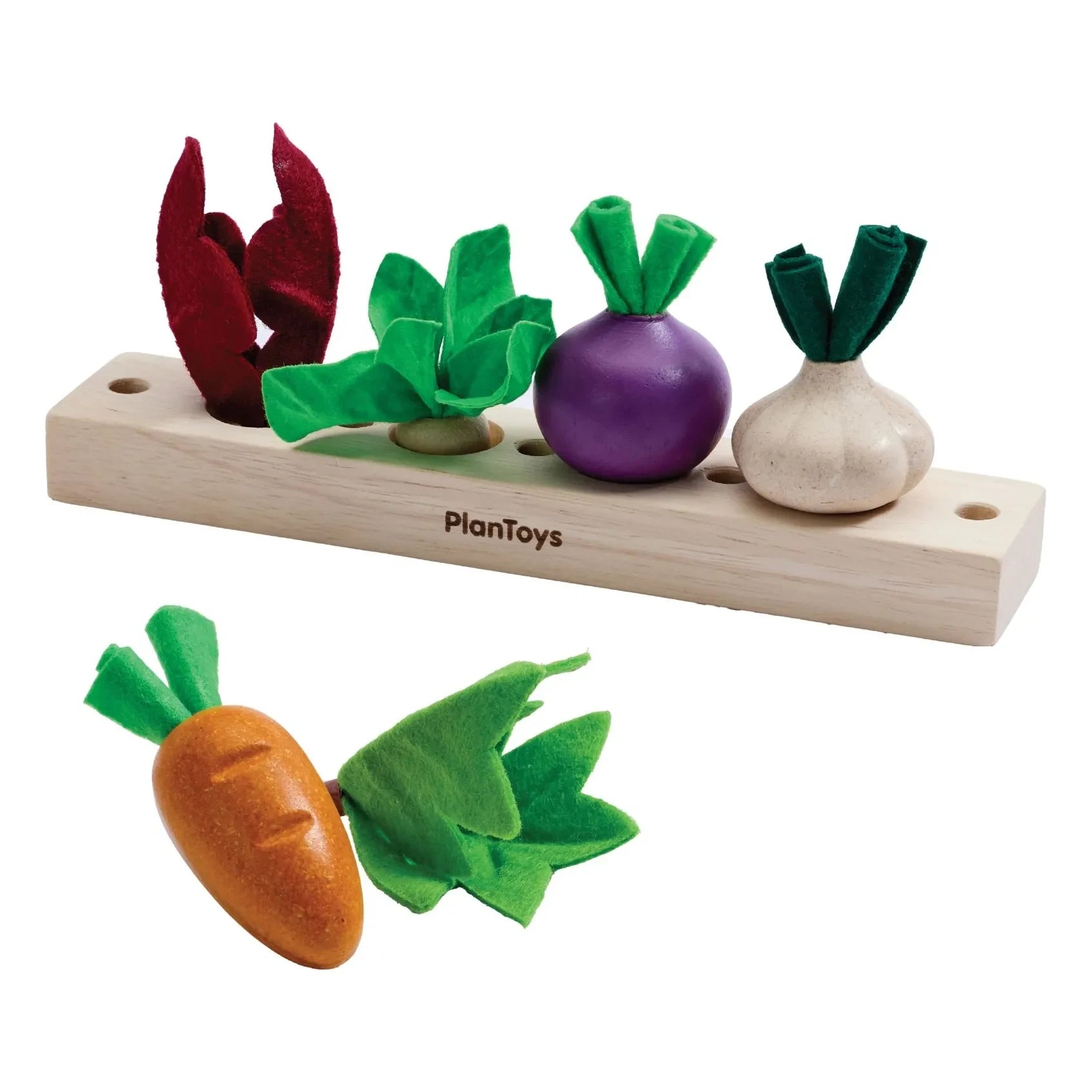 Plan Toys - Dikim için tohumlar ve soğanlar