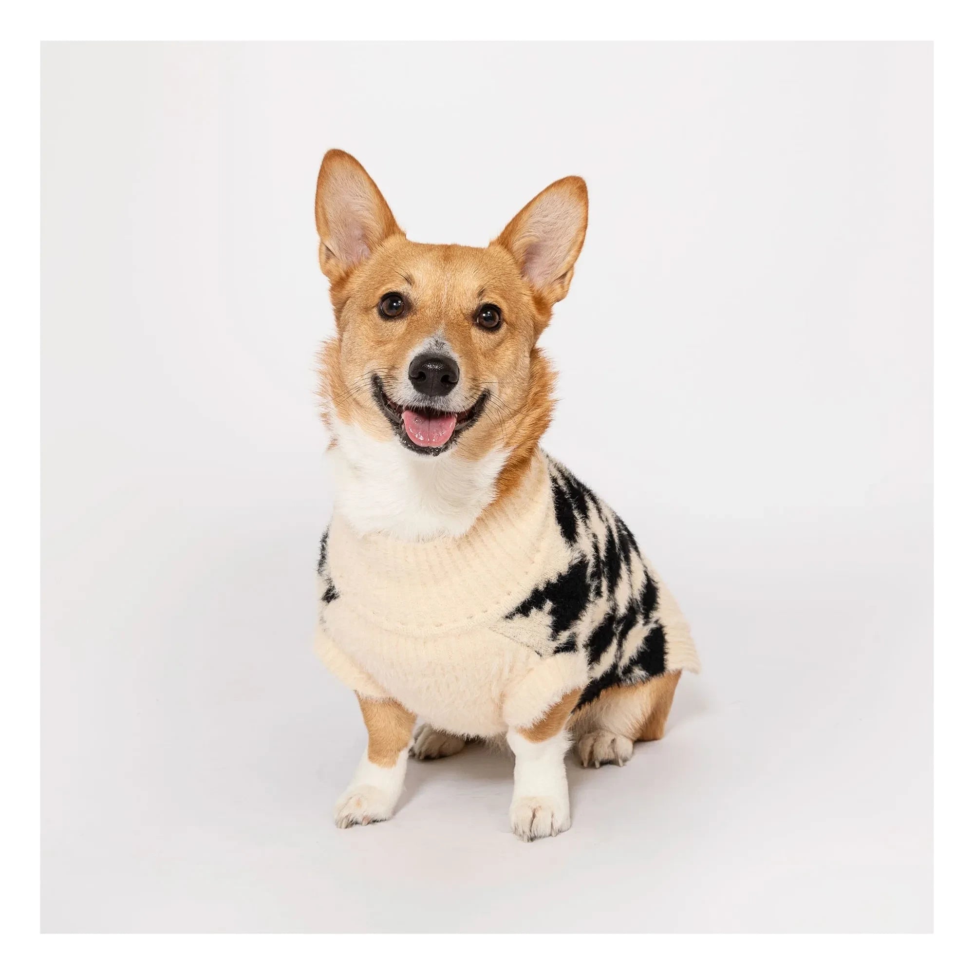 The Furry Folks - Pixmond Pullover | Schwarz