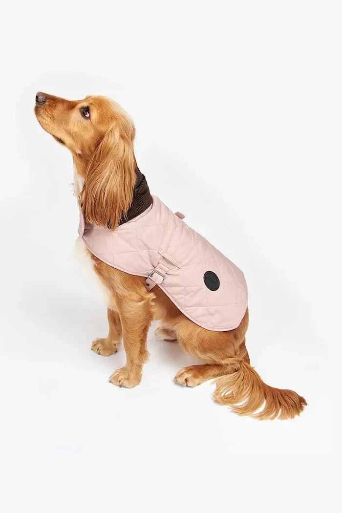 Barbour Köpek Montu