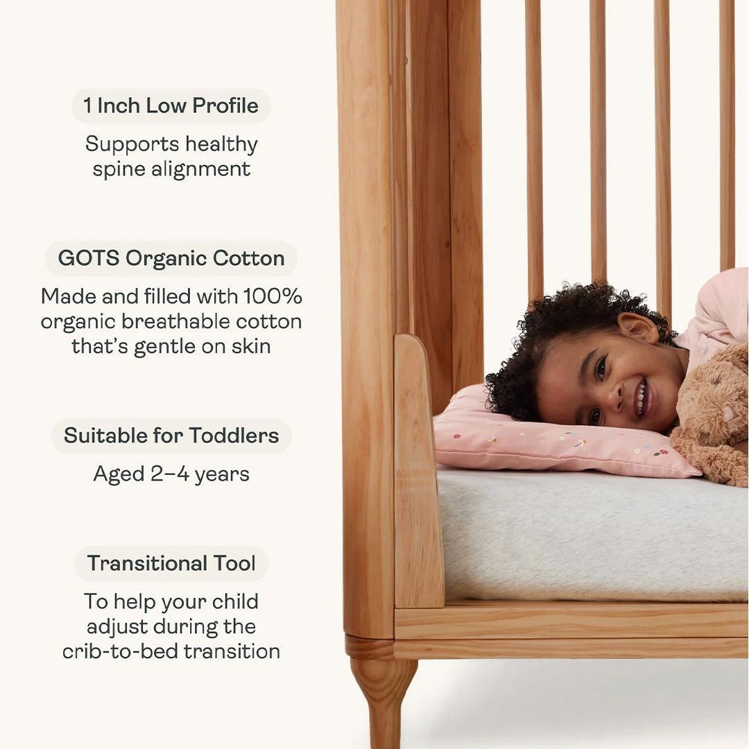 ergoPouch - Organic Toddler Pillow & Case - 0.3 TOG - Dragonflies-Bedding Sets-Dragonflies-Toddler | Natural Baby Shower