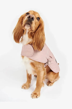 Barbour Köpek Montu