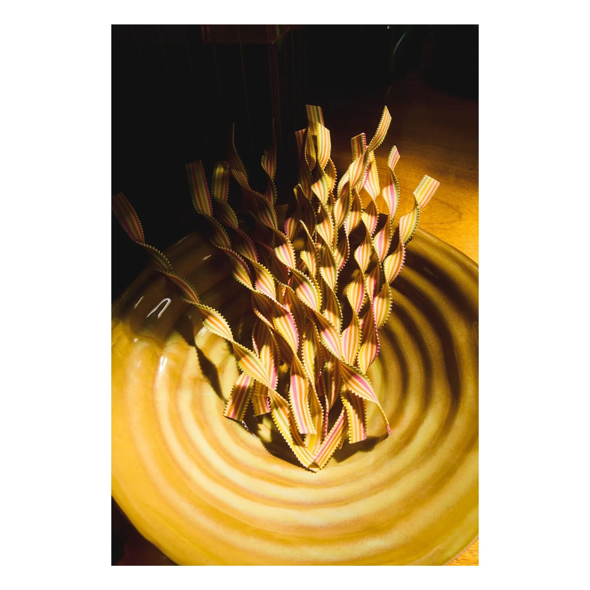 Olsson & Jensen - Plat Solveig | Senf