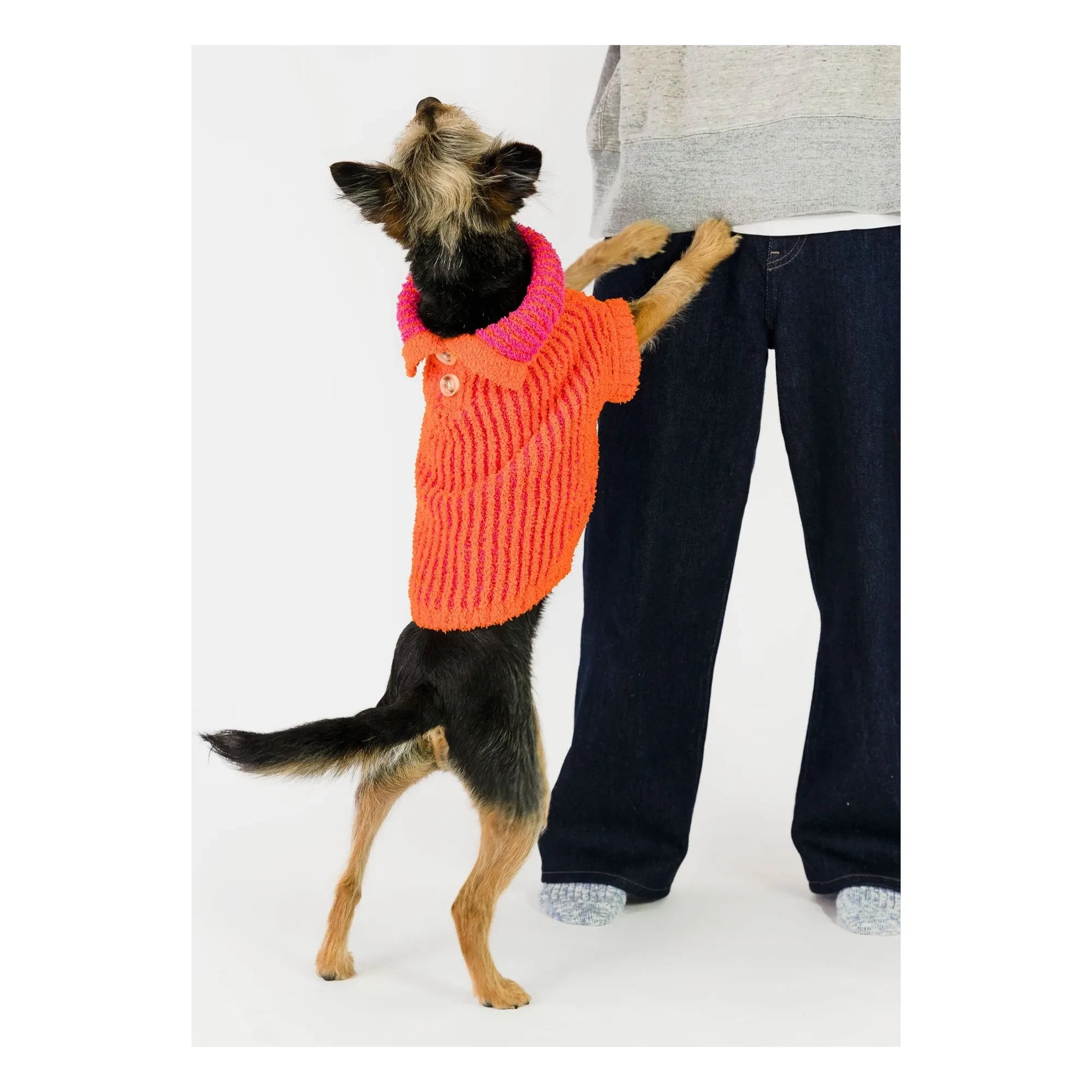The Furry Folks - Ribbed Pullover | Orange