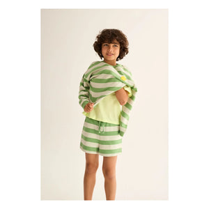 Cozmo - Orion Gestreifte Polar-Shorts | Meadow Green
