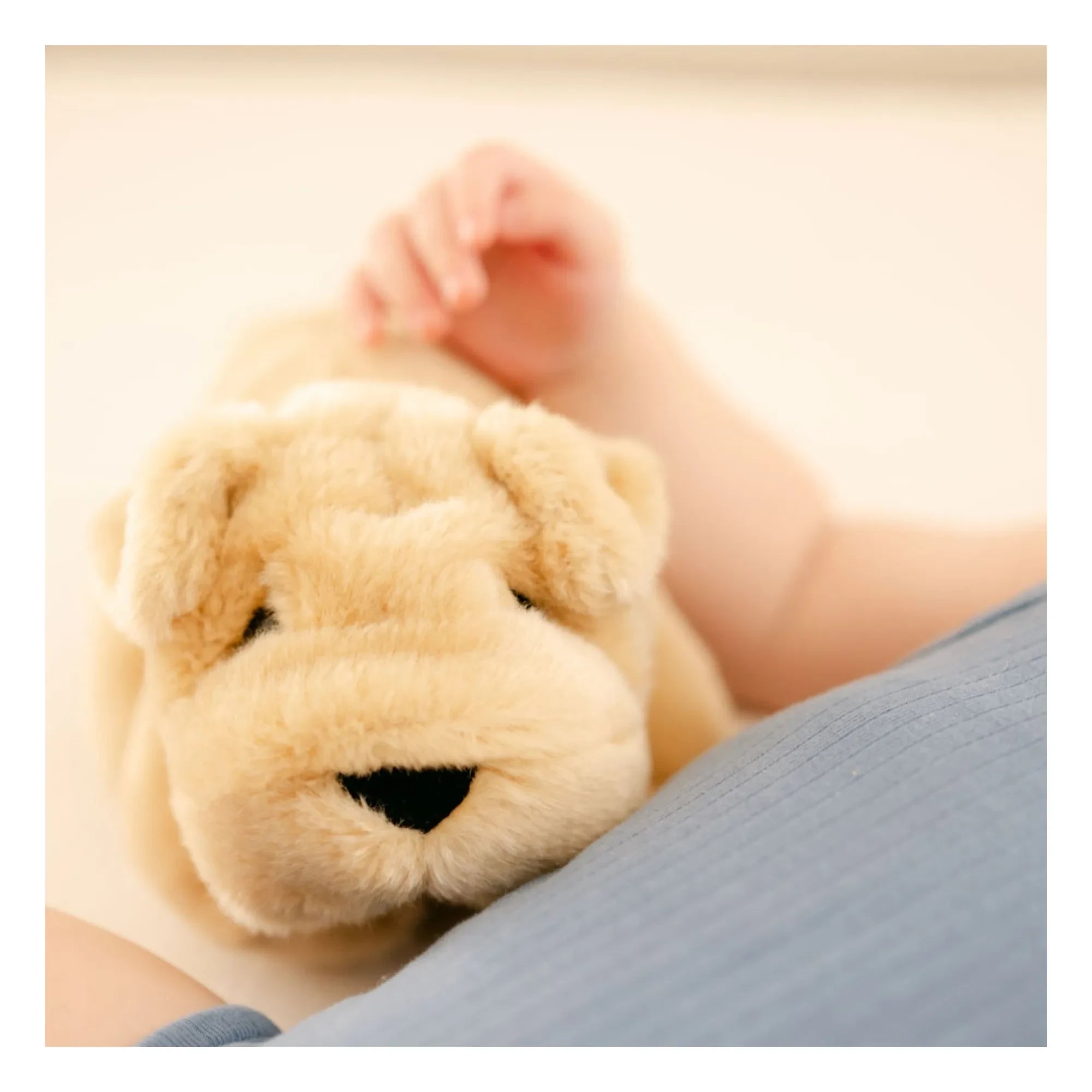 La Pelucherie - Hector 20 cm peluş köpek | Bal