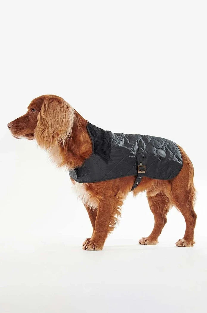 Barbour Köpek Montu