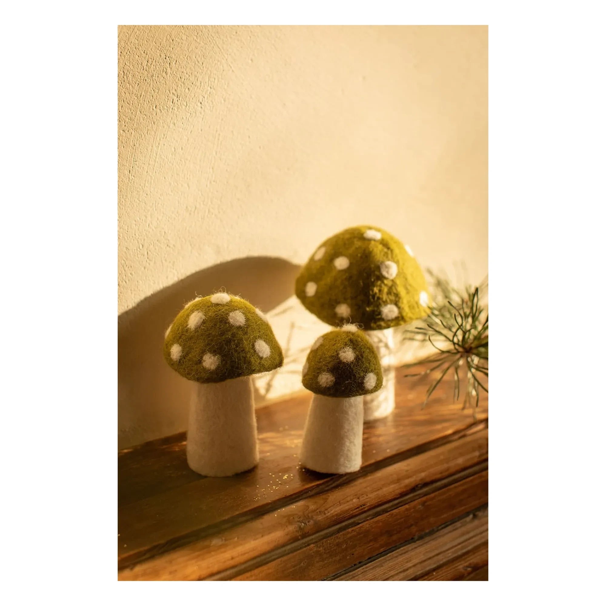 Muskhane - Dotty Keçe Mantarlar - 3'lü Set | Yeşil