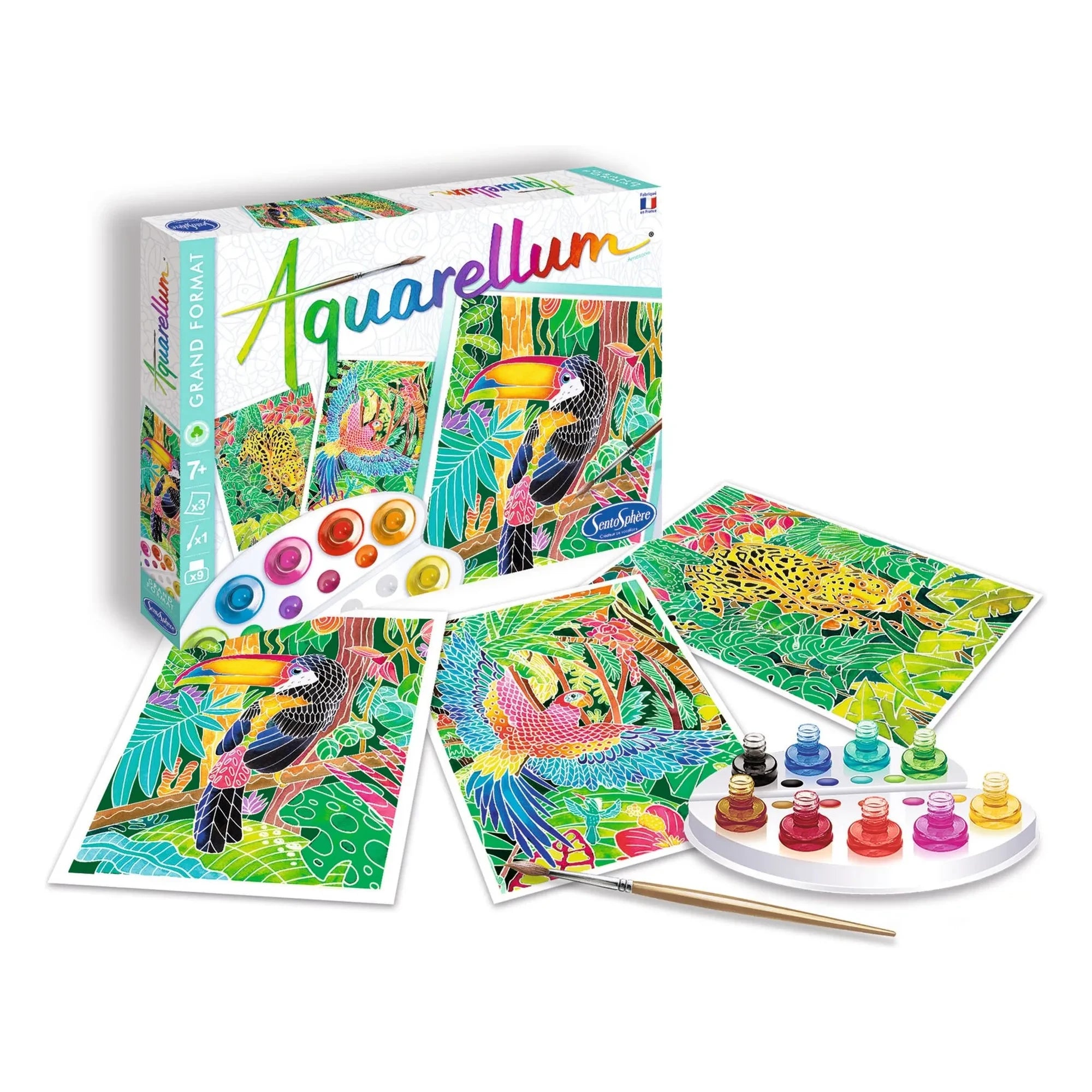 Sentosphère - Amazon Aquarellum boya