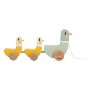 Janod - Shooting Duck Game