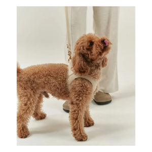 Cafide - Veganes Hundehalsband aus Leder | Beige