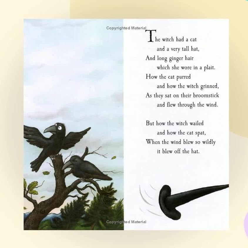 Pan Macmillan - Julia Donaldson ve Axel Scheffler Room on the Broom İngilizce Hikaye Kitabı