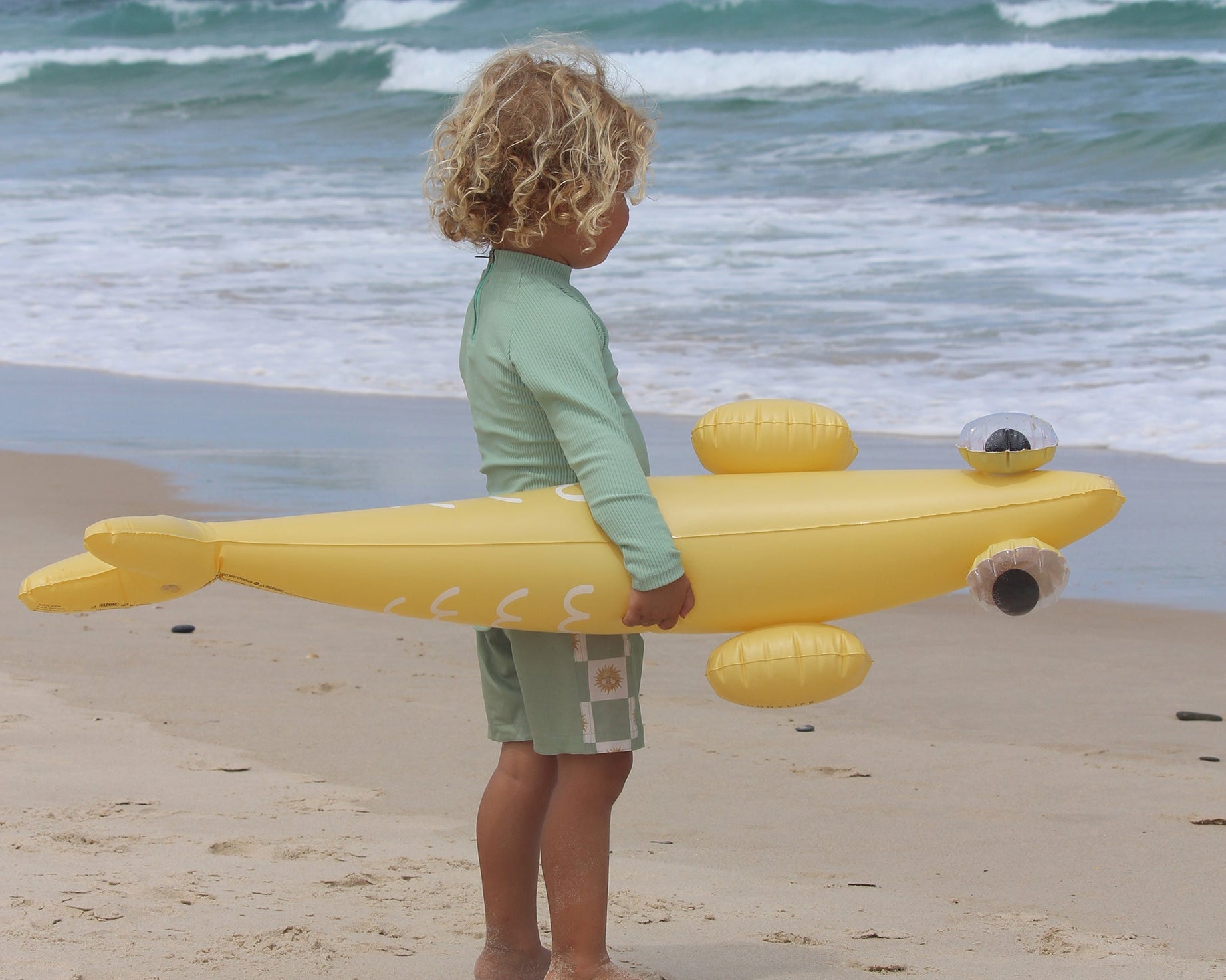 Sunnylife - Balık Finn Şişme Deniz ve Havuz Yüzme Aksesuarı