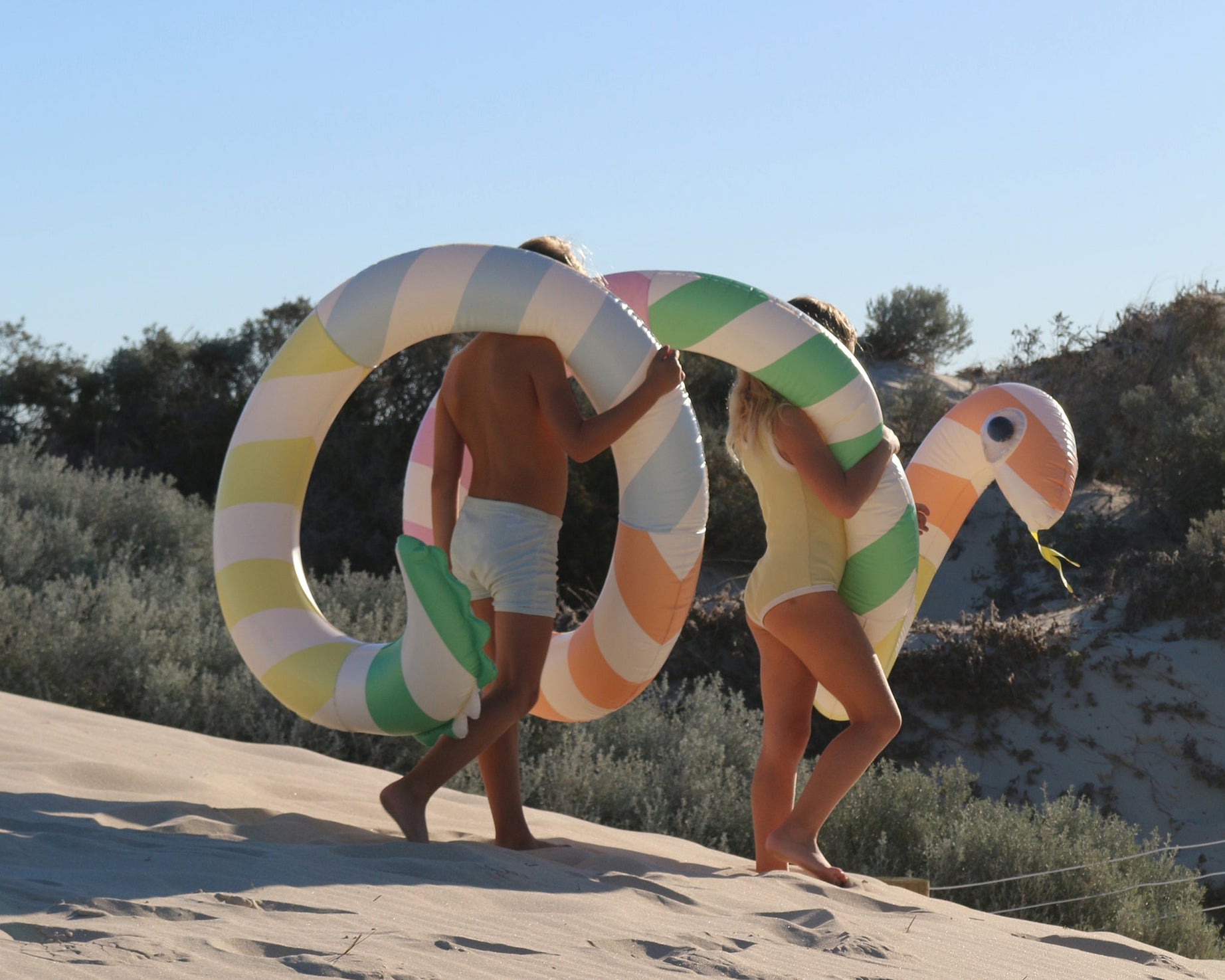 Sunnylife - Dev Yılan Şişme Havuz Eğlencesi ve Yatağı