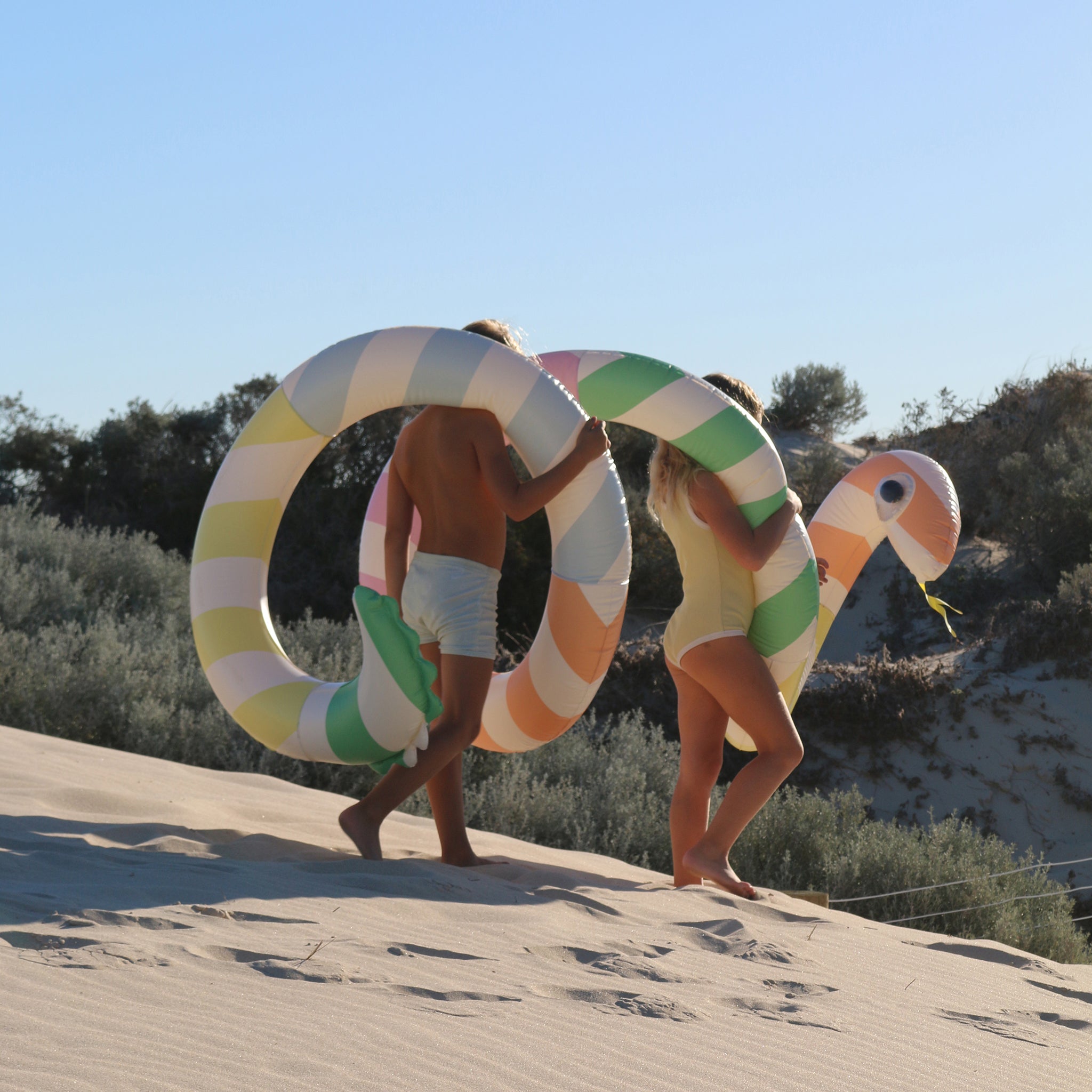 Sunnylife - 巨型蛇形充气游泳池娱乐和床垫