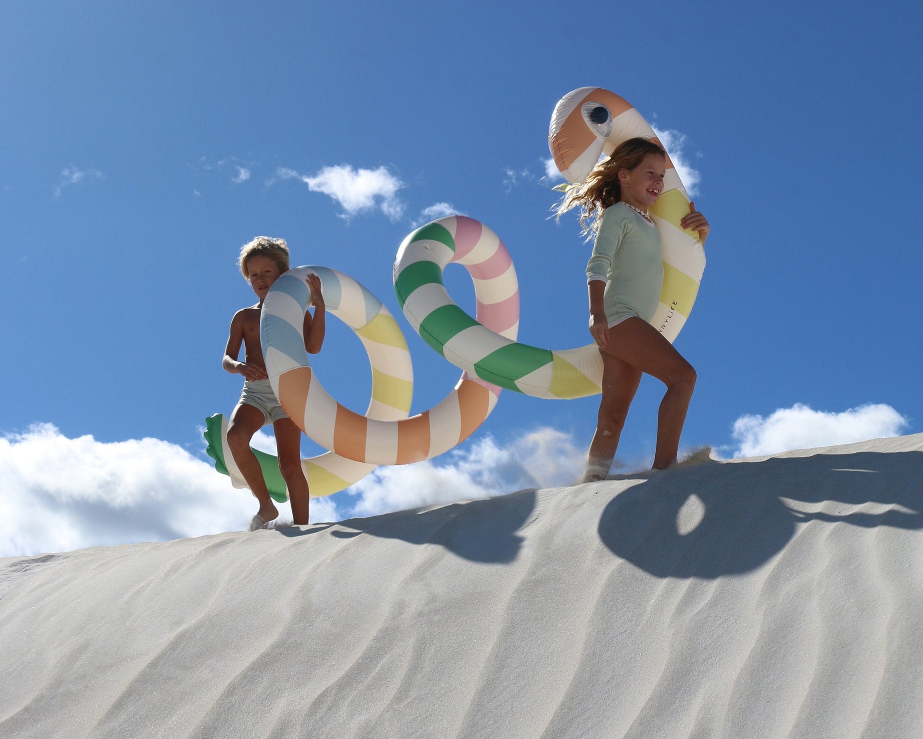 Sunnylife - Dev Yılan Şişme Havuz Eğlencesi ve Yatağı