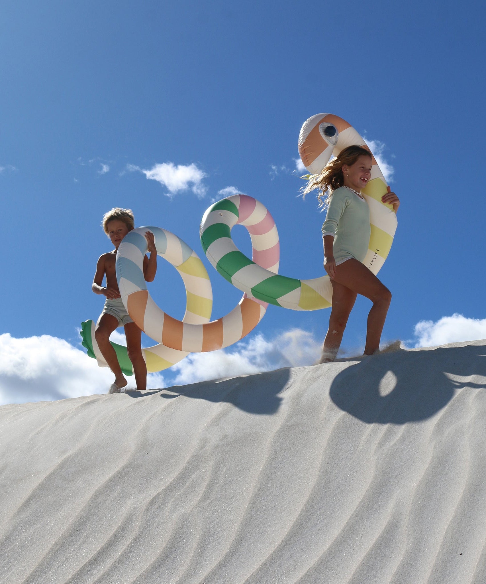 Sunnylife - 巨型蛇形充气游泳池娱乐和床垫