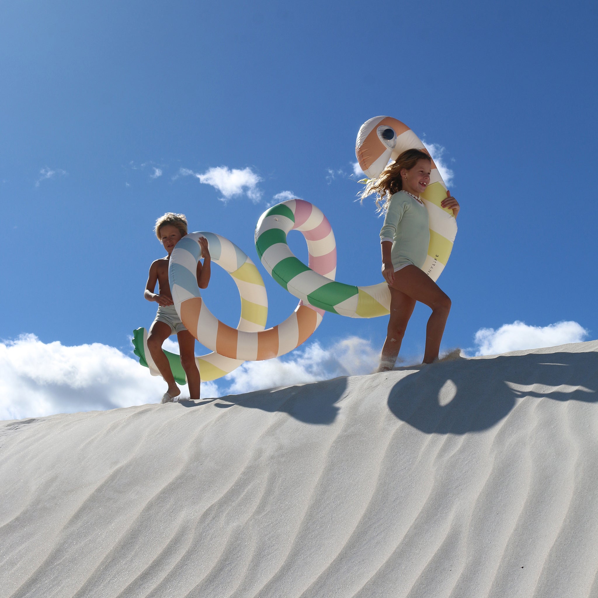 Sunnylife - 巨型蛇形充气游泳池娱乐和床垫