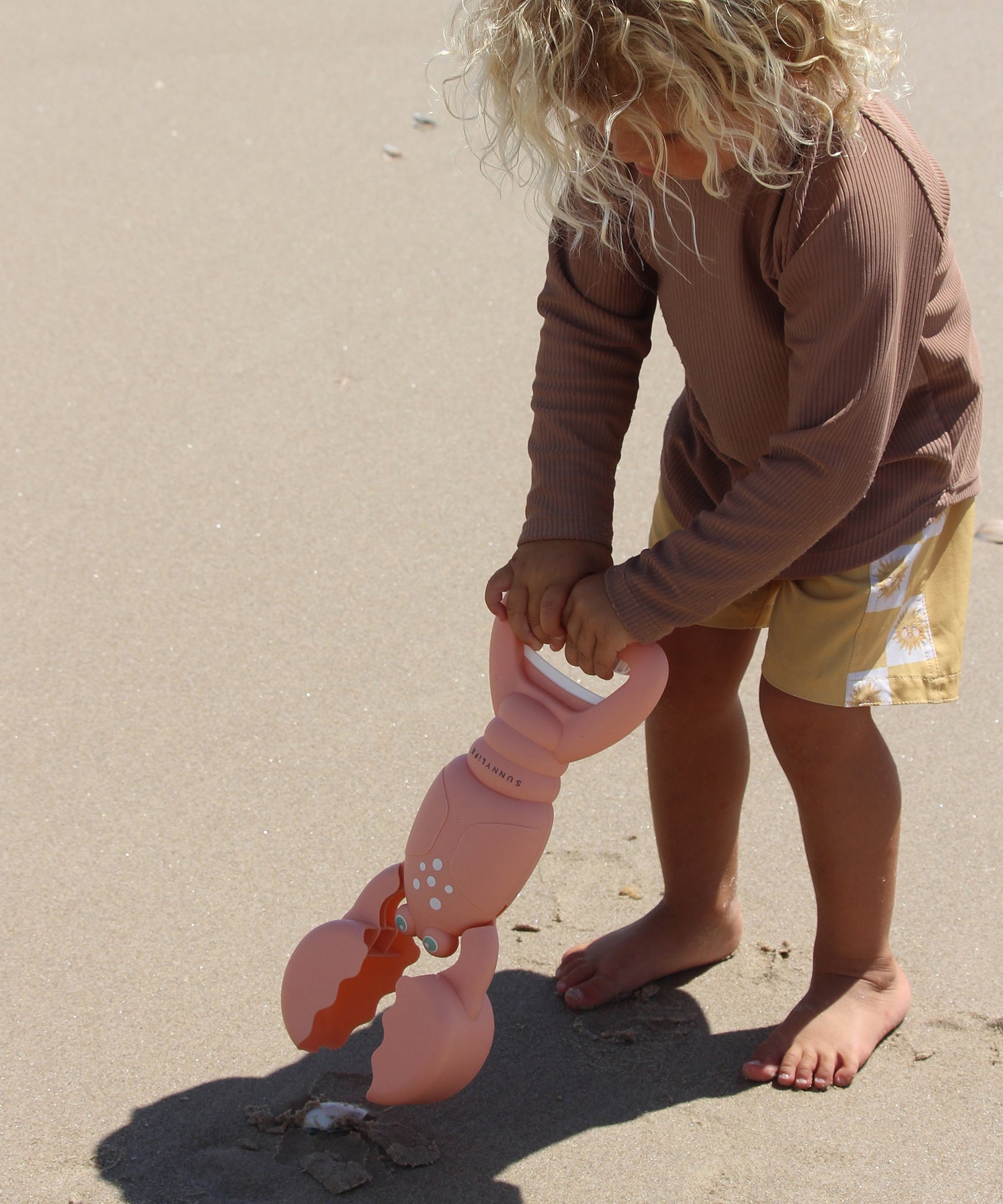 Sunnylife - 龙虾珊瑚沙收集玩具